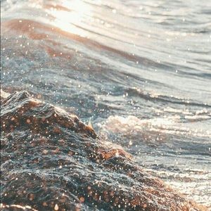 Meet your Posher, Adaline